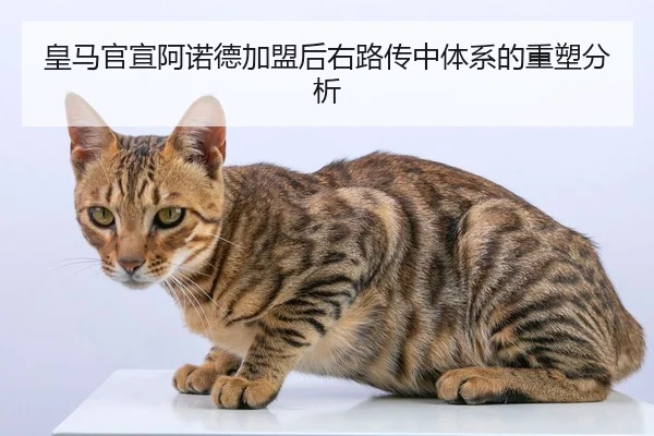 皇马官宣阿诺德加盟后右路传中体系的重塑分析