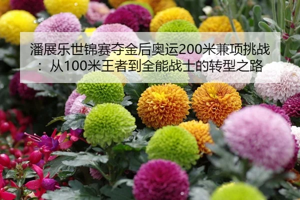 潘展乐世锦赛夺金后奥运200米兼项挑战：从100米王者到全能战士的转型之路